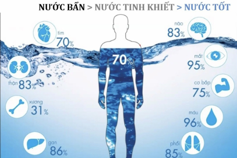 SỰ CẦN THIẾT CỦA MÁY LỌC NƯỚC TRONG CUỘC SỐNG HIỆN ĐẠI
